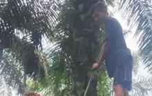 PGN: Produksi Biometana akan Dimulai di Sumatera Bagian Selatan Pada 2025