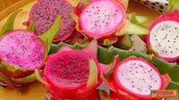 Buah Naga, Si Merah Nan Berkhasiat