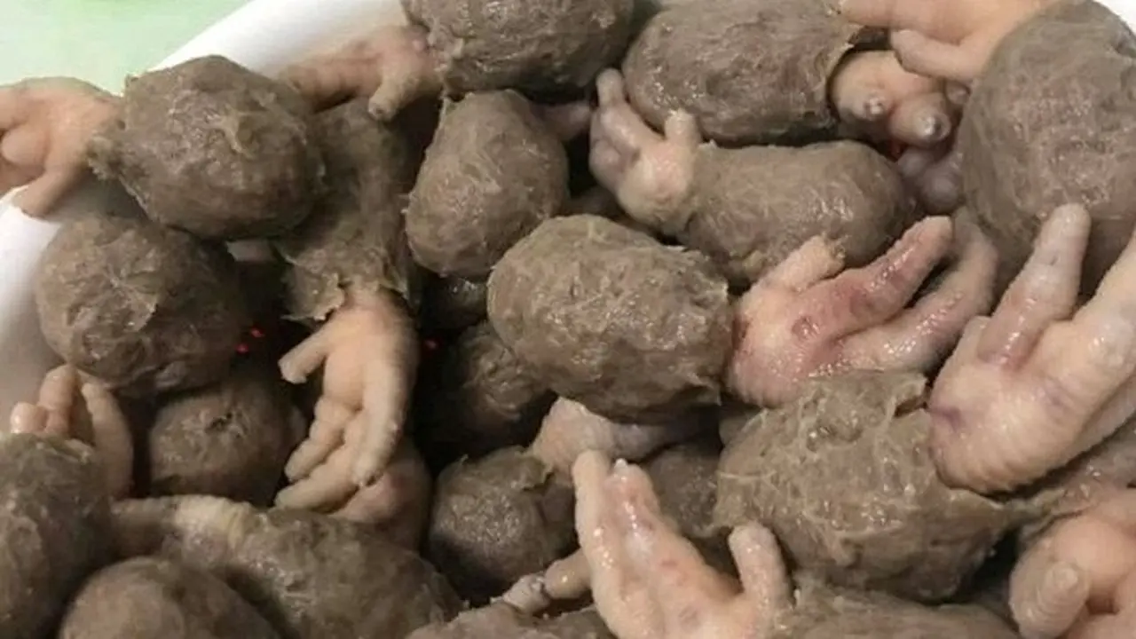 7 Potret Bentuk Bakso Nyeleneh Ini Bikin Geleng Kepala