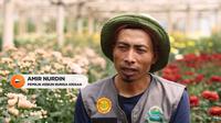 Di Cianjur, Jawa Barat, Amir membuka perkebunan bunga krisan yang kemudian menjadi peluang bisnisnya. Pekerjaan ini tak asing baginya karena ayah Amir sudah menjadi petani dan mendidiknya sedari kecil.