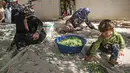 Wanita Palestina menyortir buah zaitun selama musim panen di Khan Younis, Jalur Gaza Selatan pada 6 Oktober 2019. Memanen zaitun dianggap sebagai perayaan bagi warga Palestina dan hari yang menggembirakan bagi para petani di Gaza, serta Palestina pada umumnya. (SAID KHATIB/AFP)