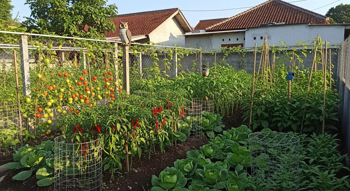 Membangun Pertahanan Fisik di Area Kebun