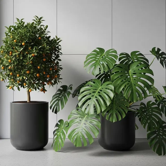 Pohon Buah dan Tanaman Hias untuk Kebun Rumah yang Produktif (Image by Gemini AI)