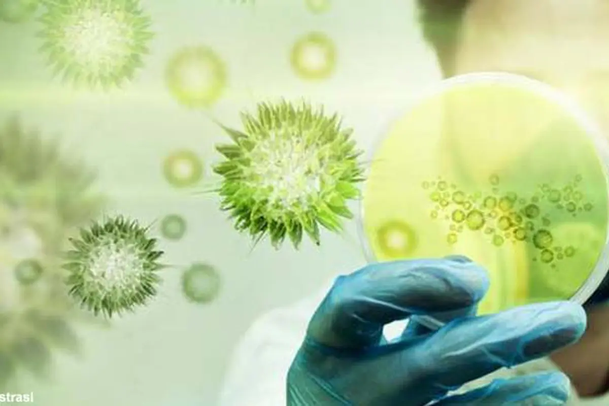 Ilustrasi virus mers 5 (Liputan6.com/M.Iqbal)