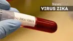  Singapura mengonfirmasi negaranya darurat virus Zika. Kasus penderita kini mencapai 82 orang.
