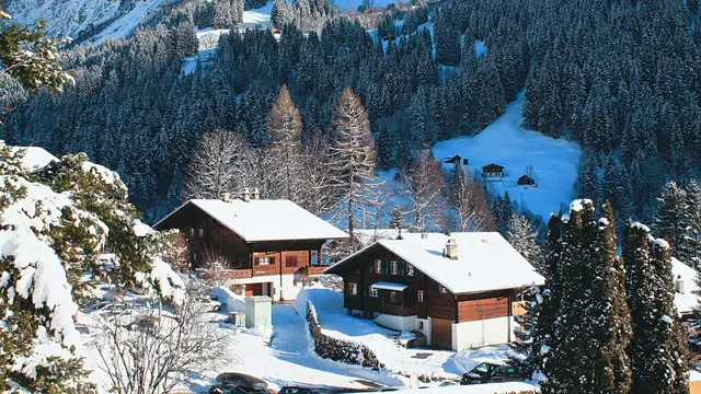 desa Grindelwald