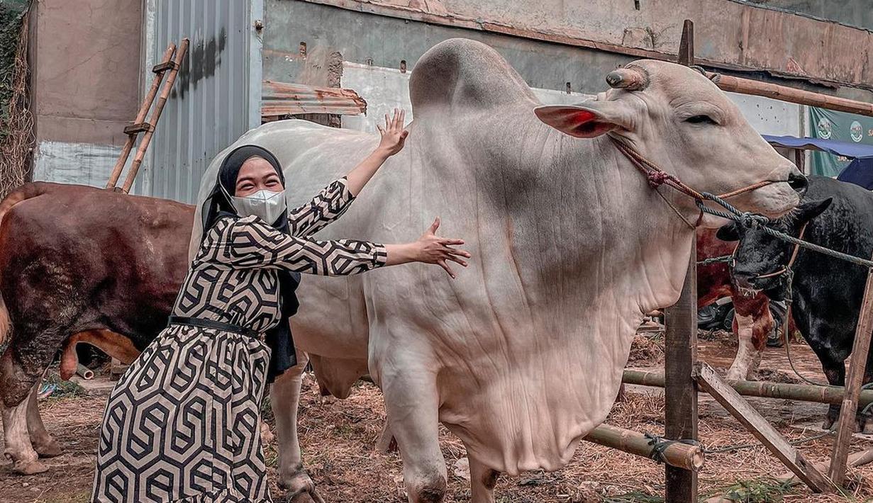 <p>Menyambut Idul Adha 2022, Ria Ricis membagikan momen seru dirinya saat hunting hewan kurban. Baru-baru ini, Ria Ricis memperlihatkan potret sapi kurbannya yang bernama Senopati berwarna putih. (Instagram/riaricis1795)</p>