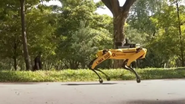 Singapura Kini Punya Anjing Robot yang Paksa Orang Jaga Jarak