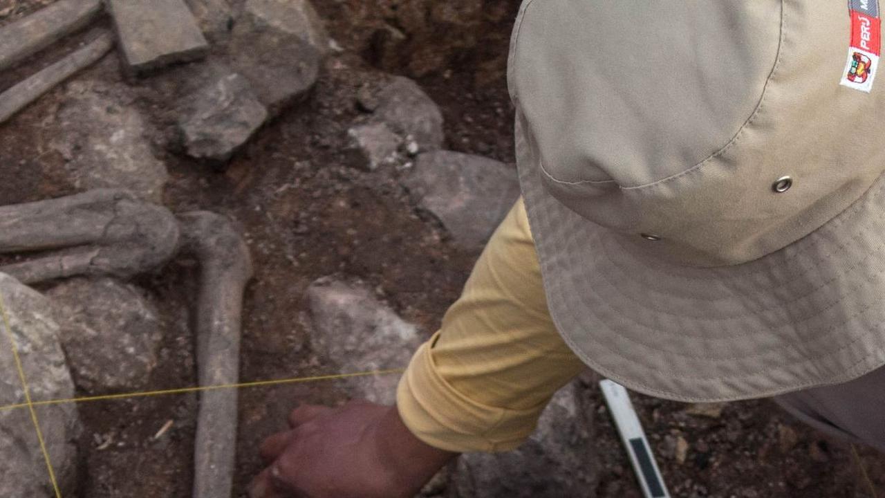 Menurut Kementerian Kebudayaan Peru dalam sebuah pernyataannya, penemuan ini menjadi bukti adanya ritual kuno yang digunakan untuk orang-orang yang memiliki kedudukan tinggi di masa itu.
