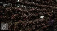 Kampung Zumi Zola Jadi Pintu Masuk Bawang Ilegal