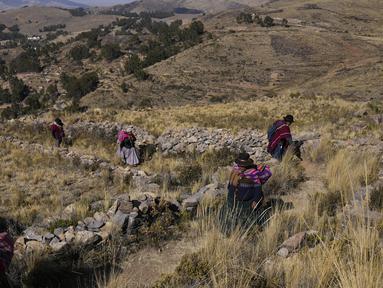 Wanita suku Aymara berjalan ke Gunung Suci Inca Pucara untuk hari doa dan puasa sebagai ritual meminta hujan di Chiquipata, Bolivia, Rabu (16/11/2022). Penduduk dataran tinggi La Paz mengatakan rendahnya curah hujan yang terjadi sejak September membuat mereka tidak bisa menanam kentang, buncis, dan kacang polong. (AP Photo/Juan Karita)