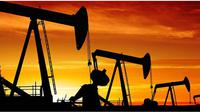 Ilustrasi Harga Minyak