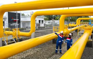 Investasi, Direktur Utama PGAS Beli 679 Ribu Saham