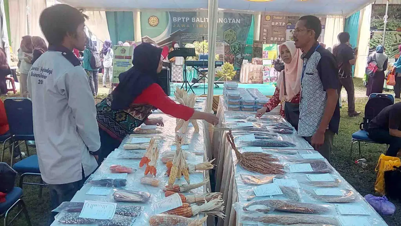 Pola Konsumsi Orang Kota Jadi Tantangan Inovasi Teknologi Pertani