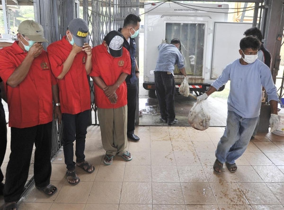 Puspitek musnahkan 1,5 ton ayam berformalin