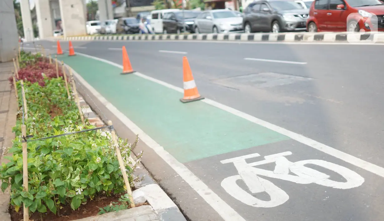 Jalur sepeda di Jalan Fatmawati Raya, Jakarta Selatan, Kamis (21/11/2019). Pemprov DKI menerapkan tilang kepada para penerobos jalur sepeda setelah uji coba selama beberapa bulan. (Liputan6.com/Immanuel Antonius)