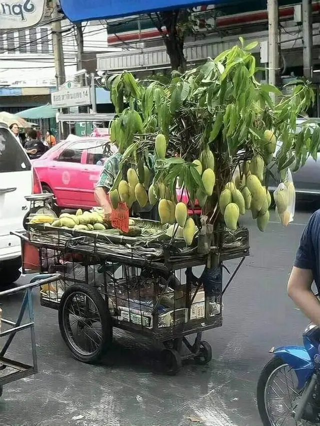 6 Cara Unik Orang Jualan Buah Ini Anti-mainstream, Nyeleneh Banget