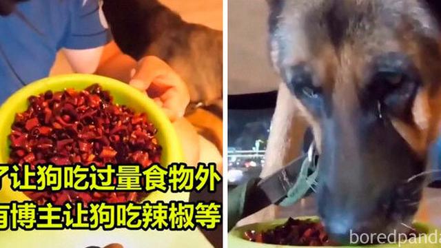 8 Potret Orang yang Lakukan Segala Cara Demi Viral di Medsos