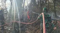 Kasus Kebakaran Hutan: 15 Korporasi Dibidik, 26 Izin Perusahaan Dibekukan