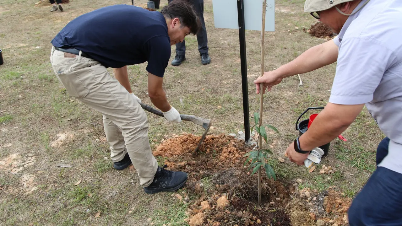 Belantara Foundation mengajak mitra sektor swasta dari Jepang melakukan penanaman bibit pohon secara simbolis di kawasan Taman Hutan Raya Sultan Syarif Hasyim (Tahura SSH), Provinsi Riau.