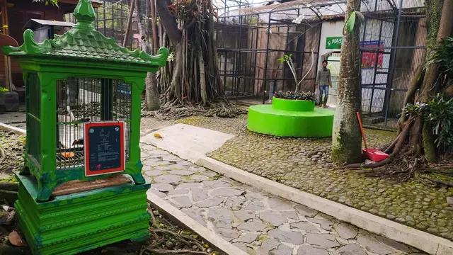 Setelah hampir empat bulan tutup, Taman Satwa Cikembulan Garut, Jawa Barat kembali menyapa pengunjung mulai hari ini.