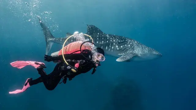 Prilly Latuconsina (Instagram/prillylatuconsina96)