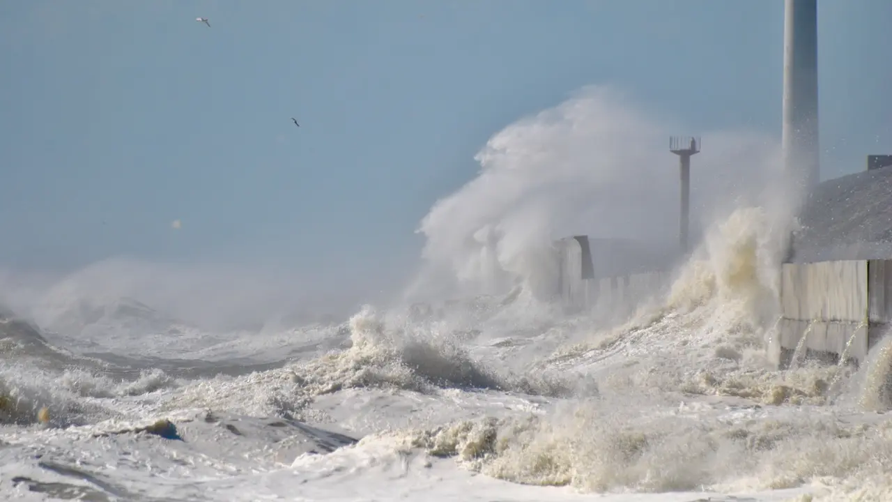 tsunami
