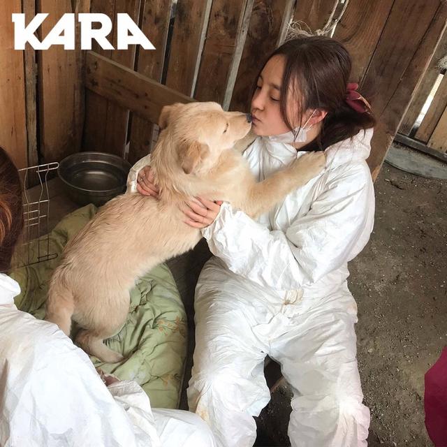 Goo Hara (Sumber: Nate/Pann)