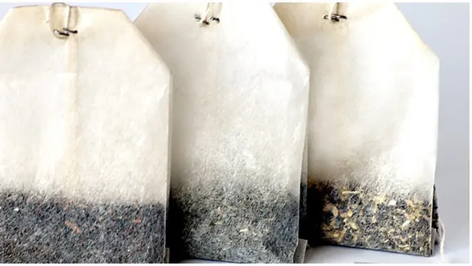 Foto: copyright wikimedia.org