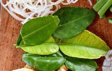 Cara Menyimpan Daun Jeruk agar Tetap Segar Hingga 3 Bulan, Simak Tipsnya