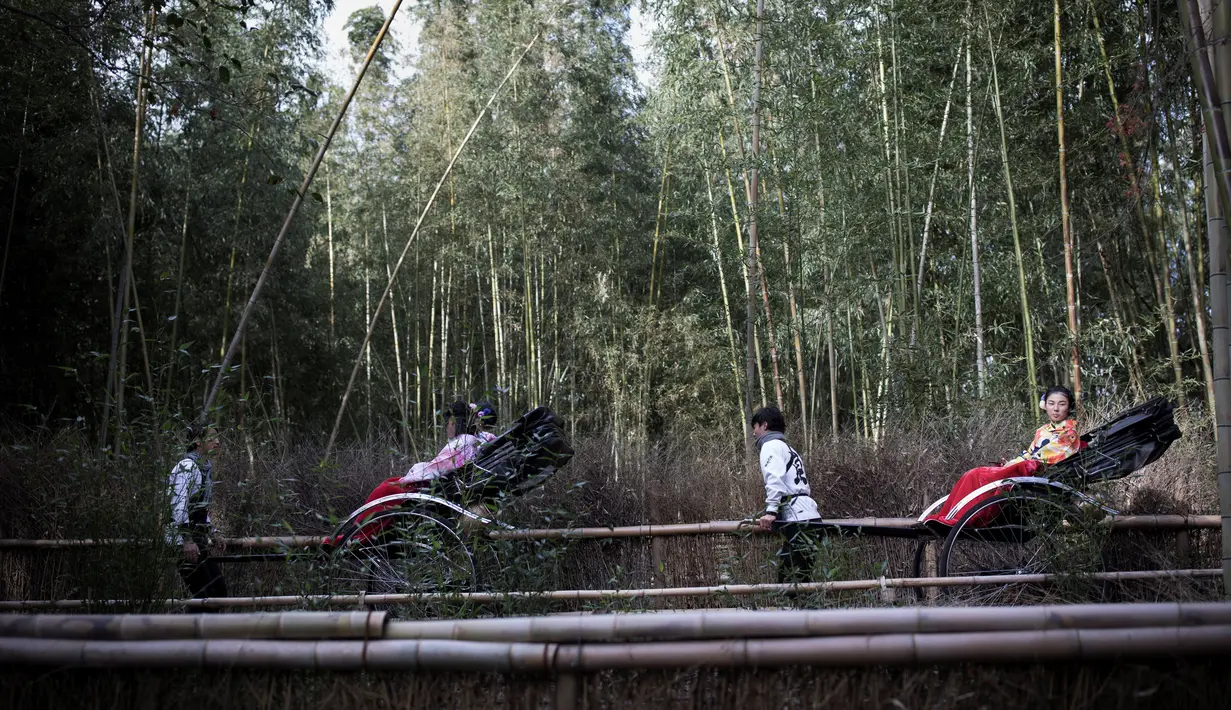 Wisatawan menaiki becak untuk berkeliling Hutan Bambu Sagano di Arashiyama, Kyoto, Jepang pada 8 Desember 2018. Hutan ini juga menjadi tempat yang cocok untuk jalan-jalan santai atau bersepeda. (Behrouz MEHRI / AFP)
