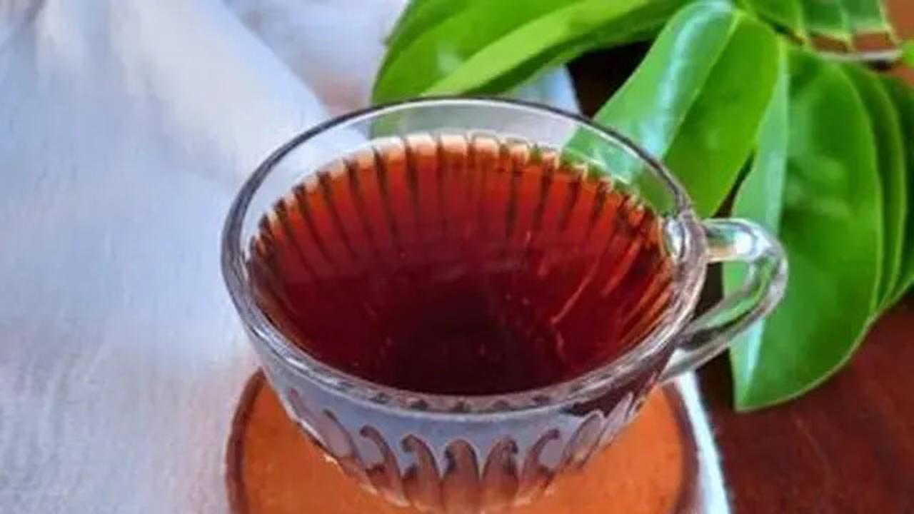 Resep Rebusan Daun untuk Kolesterol dan Darah Tinggi, Rahasia Herbal Tradisional