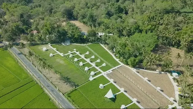 Wisata Sawah Svargabumi di Magelang, Jawa Tengah