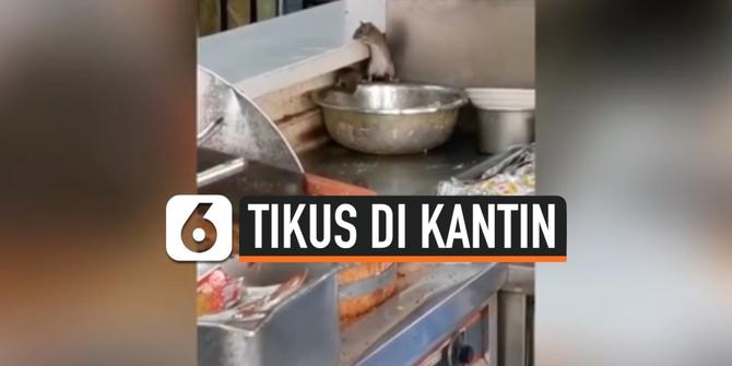 VIDEO: Viral, Tikus Berkeliaran di Wadah Makanan Kantin Rumah Sakit