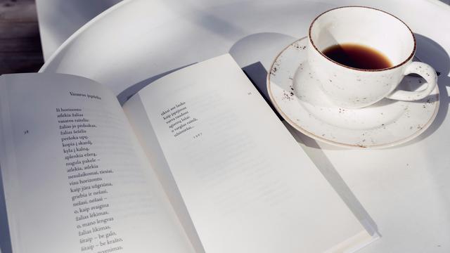 Ilustrasi karya sastra, puisi rakyat