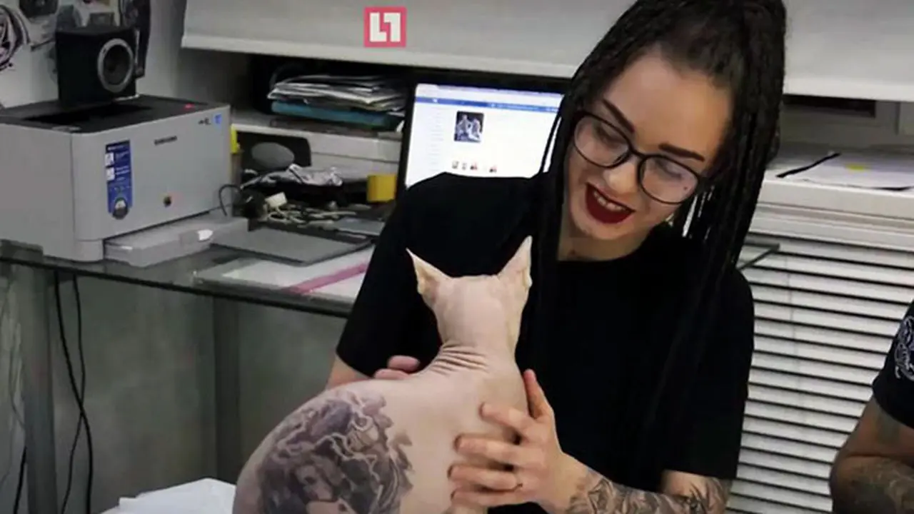 [Bintang] Menato Kucing Sphynx, Seniman Tato Rusia Ini Dikecam