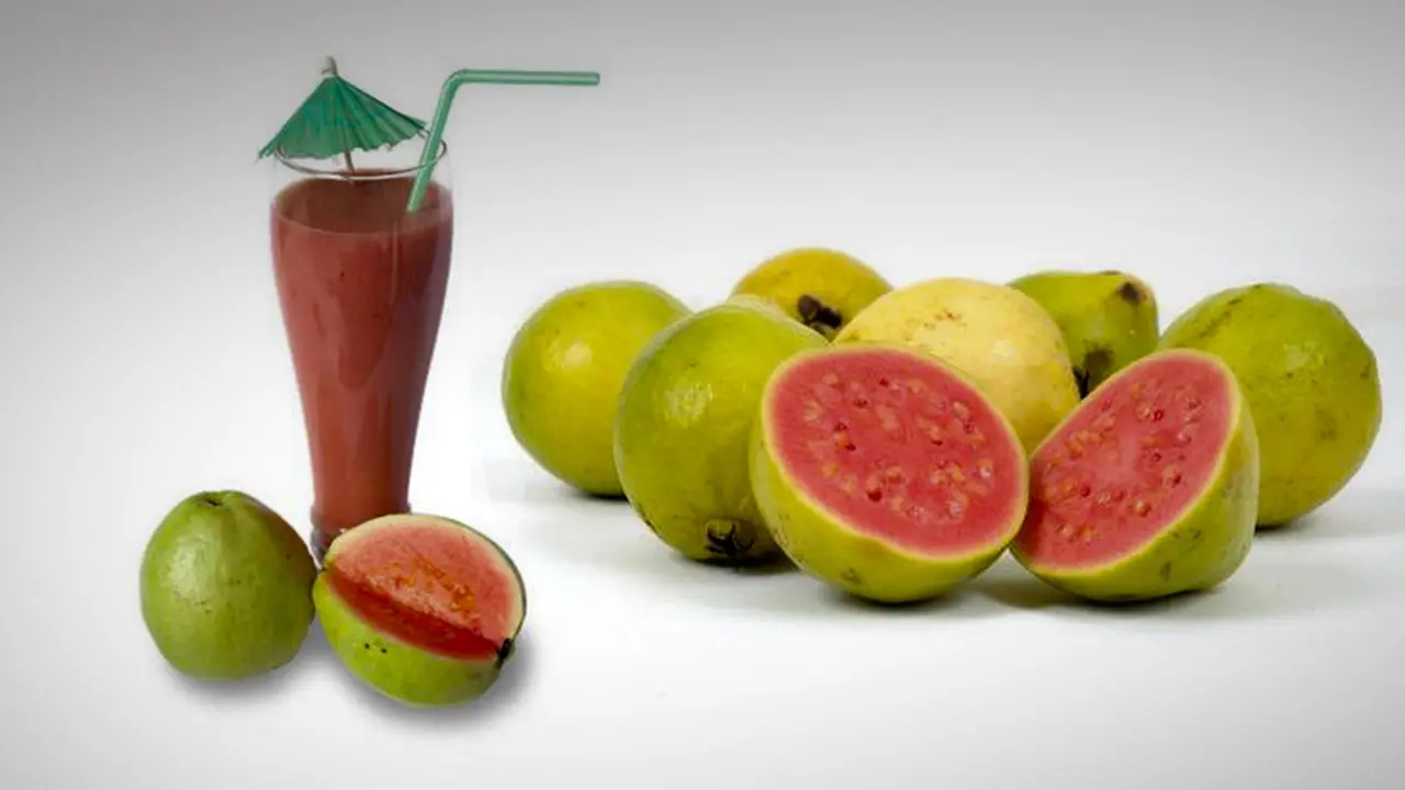 Ilustrasi Jus Jambu 