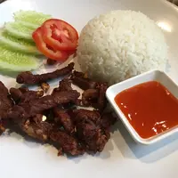 Ilustrasi daging goreng./Copyright shutterstock.com