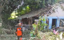 Angin Kencang Jember Terjang Lima Kecamatan, Tujuh Warga Terluka Akibat Pohon Tumbang