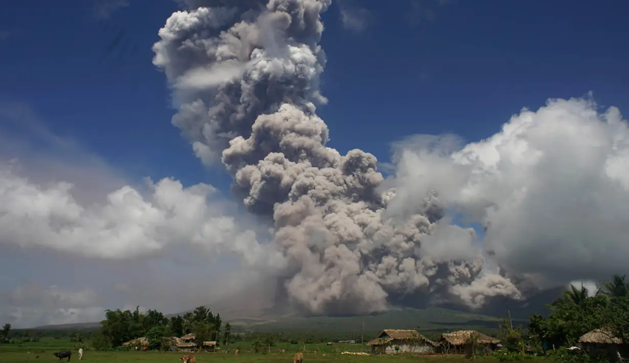 Gumpalan asap dan abu vulkanis menyembur dari kawah gunung Mayon di Camalig, selatan Manila, Senin (22/1). Otoritas Filipina langsung mengeluarkan peringatan kemungkinan letusan dahsyat akan semakin dekat. (AFP PHOTO/STR)