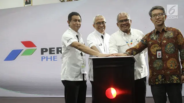 Pertamina Kelola Blok Migas Southeast Sumatera