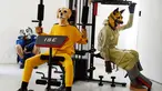 Tiga model mengenakan topeng anjing menyajikan kreasi Julien David untuk koleksi Fall / Winter 2018/2019 dalam Paris Men Fashion Week di Paris (17/1). (AFP Photo/Bertrand Guay)