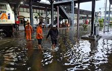 Cara Pemkot Semarang Cegah Banjir di Musim Hujan, Buat 5.000 Titik Biopori di Seluruh Kota