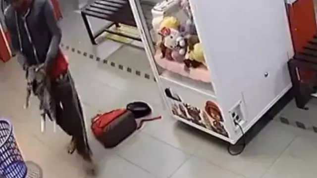 Keji, Pria Ini Bunuh 3 Ekor Kucing dengan Dimasukkan ke Mesin Cuci