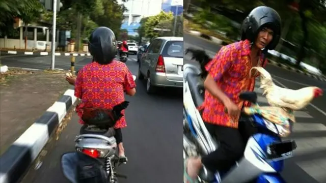 Potret Lucu Saat Hewan Dibonceng Pakai Motor Ini Bikin Ketawa, Anteng Bange