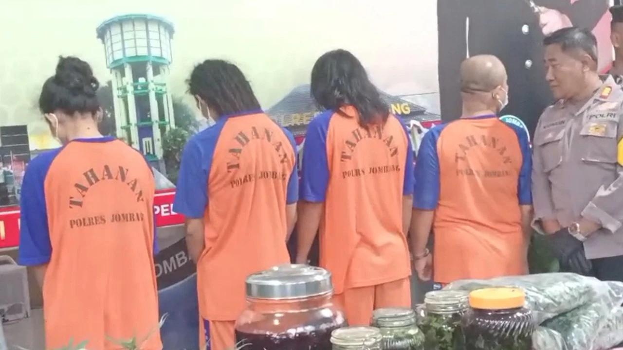 Diotaki Seorang Peneliti, Ini Peran Empat Tersangka Kasus Kebun Ganja di Jombang