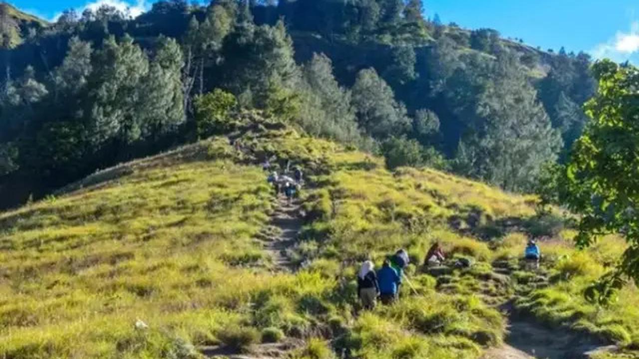 Wisatawan Swiss Kecelakaan di Gunung Rinjani, Alami Pendarahan dan Dievakuasi ke Bali