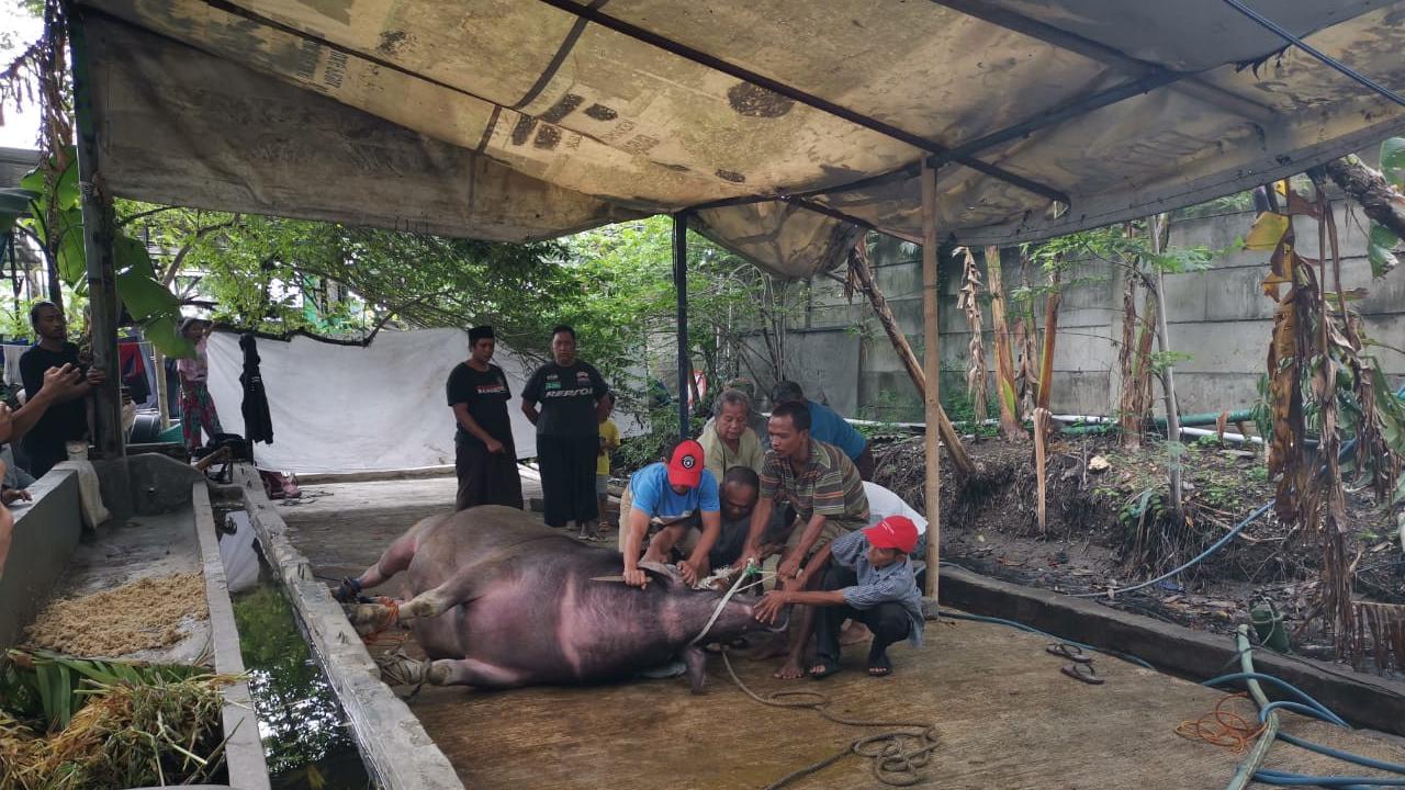 Habib Sting gelar syukuran menyambut kebebasan Ahok. (Istimewa)