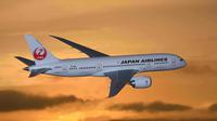 Ilustrasi Japan Airlines (Dok.Pixabay)
