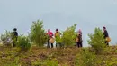 Penduduk desa memetik buah kamelia minyak teh di basis penanaman di Hongxing, Wilayah Otonom Etnis She Jingning di Lishui, Provinsi Zhejiang, China timur, pada 18 Oktober 2020. (Xinhua/Li Suren)